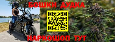 крисы Малгобек