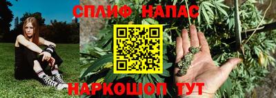 крисы Малгобек