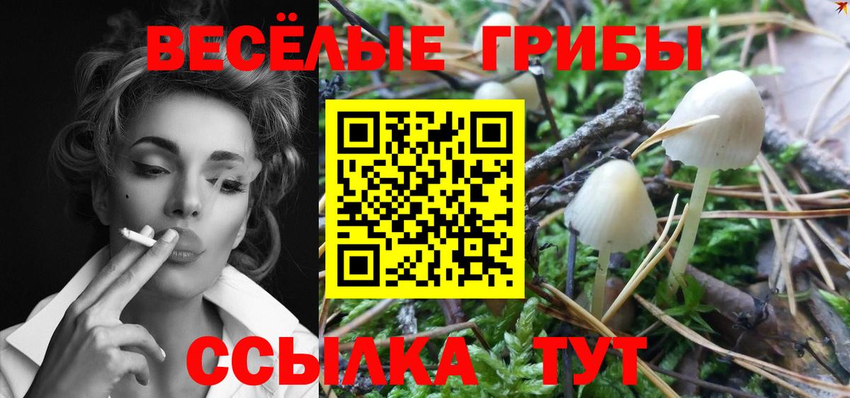 Галлюциногенные грибы GOLDEN TEACHER Энгельс