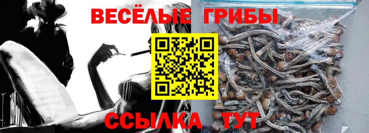 Галлюциногенные грибы мицелий  Псилоцибиновые грибы прущие грибы  Энгельс  как найти наркотики  Вход с VPN 